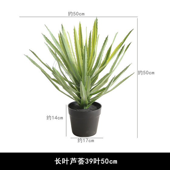 Nordic long-leaf aloe simulation ins wind floor-standing fake green plant potted plant shopping mall window plant bonsai decoration
Nordic long-leaf aloe simulation ins wind floor-standing fake green plant potted plant shopping mall window plant bonsai decoration