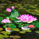 ເຄື່ອງເຕັ້ນຂອງໃບ lotus ແບບຈໍາລອງສໍາລັບພຣະພຸດທະເຈົ້າປອມນ້ໍາ lilies ປາຫນອງລອຍນ້ໍາຕົກແຕ່ງດອກໄມ້ພາດສະຕິກປອມ lotus art