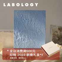 Labology New Products|Atelier Koma Handpainted Material Oil Painting Morandi Color Combination Decoration Painting Homestay