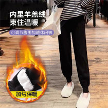 Pregnancy color pregnant womens pants (plus velvet) outside winter thickened casual underbelly slacks Haren leggings