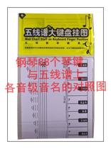 Tiantian art childrens music theory teaching aids staff Staff Score large keyboard chart 88 keys and staff