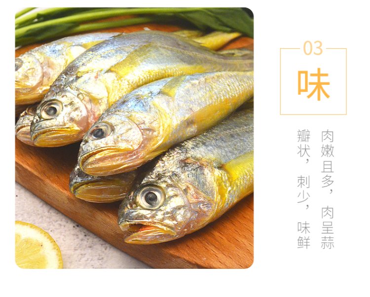 舟山新鲜海鲜新鲜小黄鱼非冰冻东海鲜活黄花鱼梅鱼1斤78条