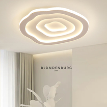 Cloud-flower ceiling lamp year round Guangdong Zhongshan lamps modern minimalist living-room room light main sleeper balcony bedroom top light