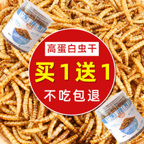 Hamster food Hedgehog bread worm dried yellow powder Hamster food food main granary rat supplies Golden bear snacks canned