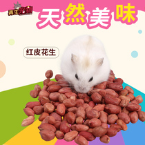 Regenerated pet hamsters love red skin peanuts 100G hamster granary rat food small particles are more nutritious
