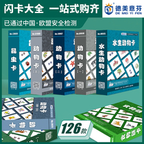 Domeis Finduman flashcards early to teach the right brain puzzle development toy animal insect food body Encyclopedia