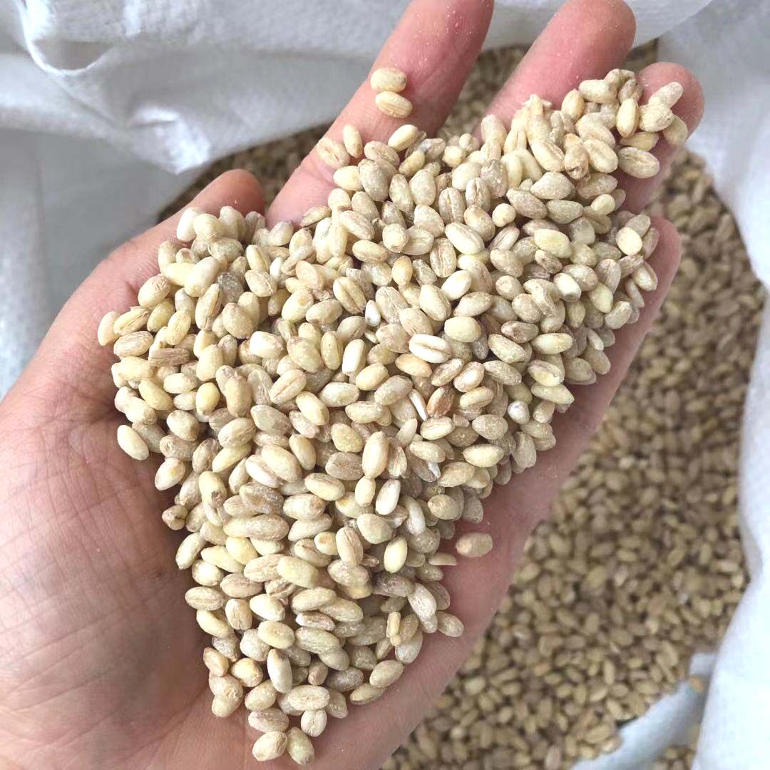 精酿啤酒原料白小麦仁啤酒辅料去皮白小麦仁啤酒专用白小麦仁