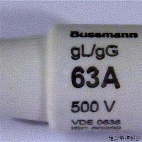 협상 가능한 Bussmann Fuse D 유형 63d33 63a 35/50/63d33 500V GL/GG (DIII) 협상 가능한 Bussmann Fuse D 유형 63d33 63a 35/50/63d33 500V GL/GG (DIII)