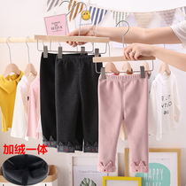 Clearance autumn and winter girls plus velvet leggings 0-1234 years old childrens one-piece velvet pants Pure cotton female baby thick pants