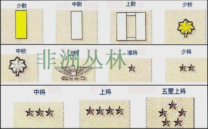 美国军迷海豹突击队军衔金属徽章标 胸章 肩章领花 船帽帽徽勋章