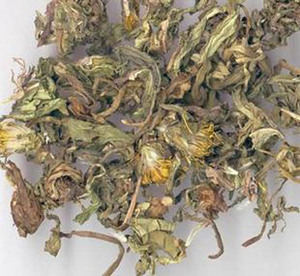 精选中药材 蒲公英 清热 ,消痈散结 250g\/4元 超