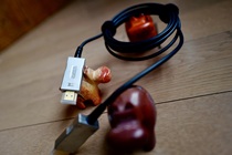 RAINBOW FISH NEW COPPER LIGHT HYBRID HDMI2 0 RAINBOW FISH HYBRID