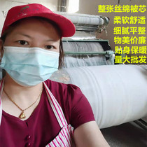 High quality Anti-mite Quilt Thickened Warm Supple Soft Whole Zhangs Cotton Quilt Core Imitation Silk Cotton Quilt All Season Universal