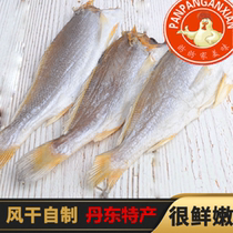 Wild salty large yellow croaker salted fish dried 500g salted yellow croaker sea fish dried seafood small yellow croaker