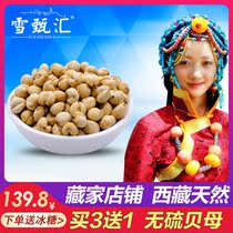 Tibetan Fritillaria natural sulfur-free Tibetan Sichuan shellfish powder Chinese herbal medicine Huatan fresh tip non-Sichuan Songbei 50g