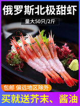 Russian imports take the lead with shell Arctic sweet shrimp large number 1000 grams 2 catty Japanese stock Seafood Low Temperature Large sashimi