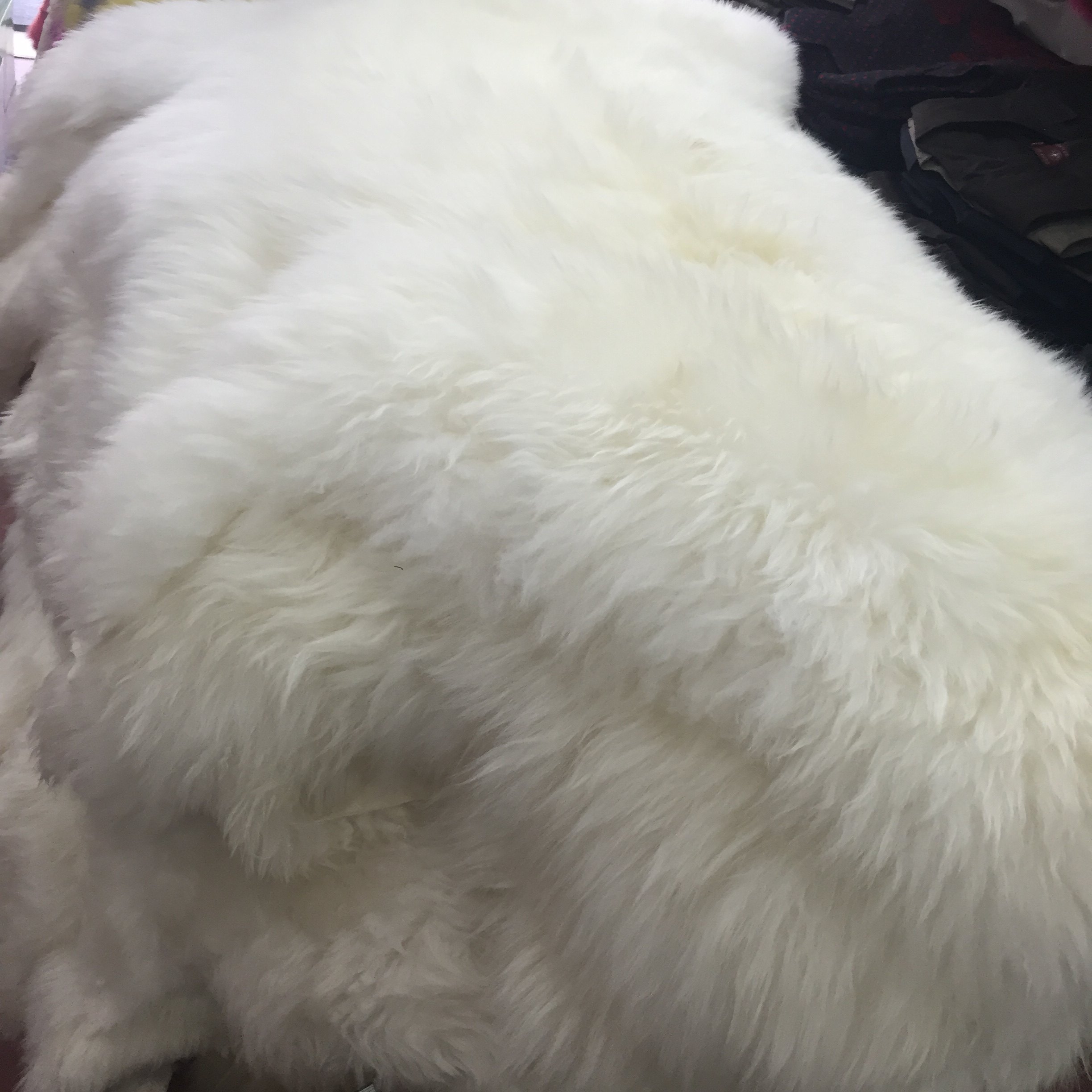 宁夏整张羊皮 滩羊皮 羊毛地毯羊毛沙发垫整张羊皮摄影 客厅地毯