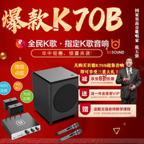 Bader BD-K70B superset sound HIFI voice AI smart 2 1KTV wireless network point song machine Low sound gun