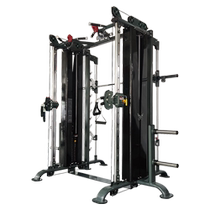 The Wanyoung WNQ Fly Bird Smith Machine 2048