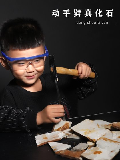 천연 고생물 늑대-핀 생선 화석 분할 화석 삼목미 고고 학적 화석 발굴 교육 시편 천연 고생물 늑대-핀 생선 화석 분할 화석 삼목미 고고 학적 화석 발굴 교육 시편