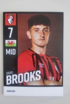 Brooks Wales Bournemouth 21-22 season official white card
