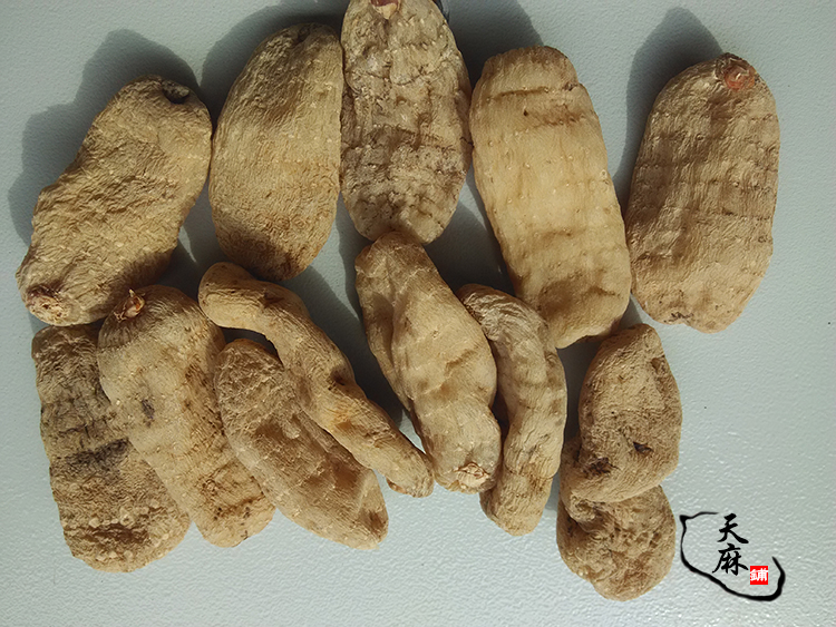 云南特产昭通彝良小草坝野生干天麻特价可送新鲜天麻天麻 天麻粉