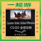 CSGO STEAM 国区中文 反恐精英:全球攻势