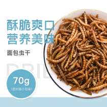 Hamster food hedgehog bread worm dry yellow powder turtle granary hamster supplies hamster main food zero food bread worm canned