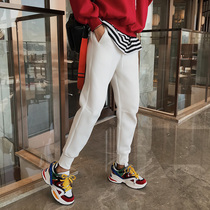 White plus velvety sports pants female bungles underpants autumn winter 2022 new high waist display slim casual fashion Harun pants