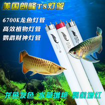 American Langfeng Langfeng T8 lamp Aquatic plant lamp Parrot photosynthetic star lamp 6700K Arowana lamp T8
