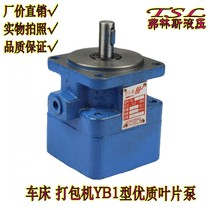 Vane pump YB1-6 YB1-10 YB1-16 YB1-20 6 3 25 32 40 50 63 80 100