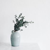 Shipping Fee Order Exceptions Complementary Price Customized Fee Universal One Yuan