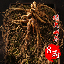 Single-branch 8 Two Told Mountain ginseng Fresh ginseng Changbai Mountain ginseng ginseng Northeastern Lin Lower Ginseng Bubble Wine Raw Ginseng