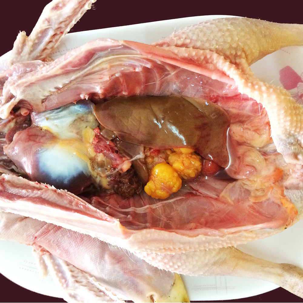 土鸭子麻鸭 现杀农家新鲜散养鸭子老鸭鲜鸭肉 大别山泉水老鸭肉