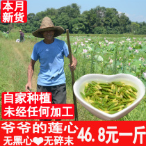 Pure natural wild fresh lotus heart Jiangxi Bailian Guangchang Super lotus seed core tea brewing water 500g dry goods free of mail