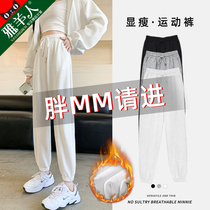 Large size fat mm sweatpants womens pants autumn and winter white velvet pants pear-shaped body slightly fat to wear thick pants
