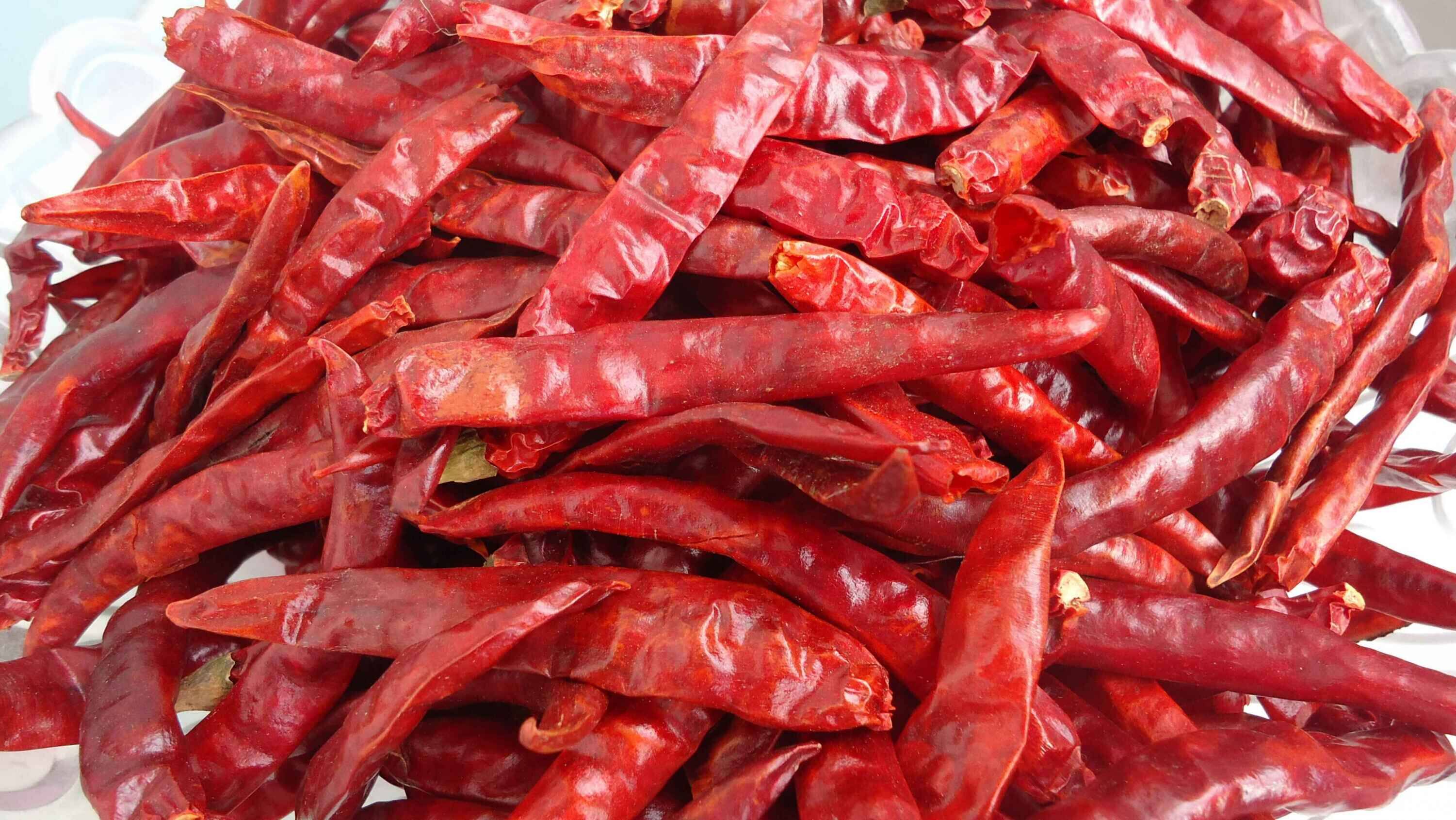 辣椒王印度魔鬼超级辣农家长条朝天椒小米椒特产批发100克5件免邮