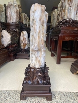 Myanmar tree jade raw stone large ornaments Living room decoration wood fossil strange stone Silicified wood Lucky town house patron stone