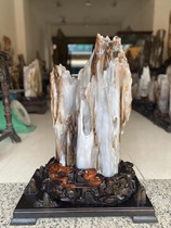 Ice species Myanmar tree jade rough stone Large ornaments wood fossil strange stone Silicified wood Lucky town house Hall patron stone