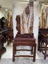 Myanmar wood jade large stone hall lucky town house modeling stone Silicified wood Shuhua Jade rough stone large ornaments