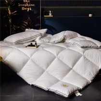 Hilton thickened quilt white goose down five-star hotel cotton quilt winter quilt winter quilt