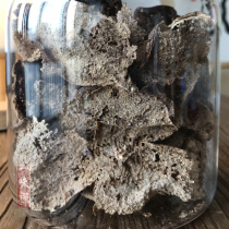 Pre-one taste Zen precious collection for more than 50 years Tianma circle branches tangerine peel new old tangerine peel a small collection of 10g