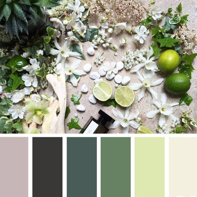 橄榄绿以及豆沙绿, 配以深沉的浊色系, 一直是设计师们心水的配色,既