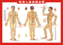 Acupuncture points coloring book