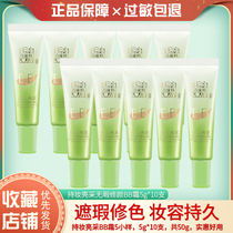 Pine antelope holding makeup bright and flawless Repair Cream 5G * 10 concealer color makeup effect lasting moisturizing non-card powder women