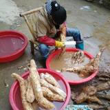 野生葛根粉纯天然正品农家葛粉江西特产葛根