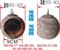 Coconut Shell Bird Nest Oversized Coconut Shell Nest Handicraft 8 Gothic Cockatoo Hamster Squirrel and Magic King Pet Pet Nest