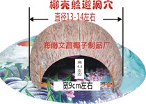 Coconut Shell Shelter From Hamster Land Turtle Spider Scorpion Centipede Hosts Crab Lizard Vigil Giant Coconut Shell Cave