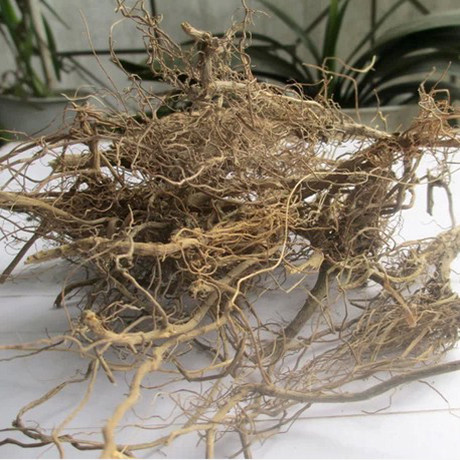 野生新鲜艾根艾叶根5月老艾根艾草根滋补养生煲汤中草药一斤包邮