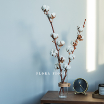 Imported natural dried flowers and trees Cotton ins Nordic style window decoration Real flower bed and breakfast decoration cotton branches